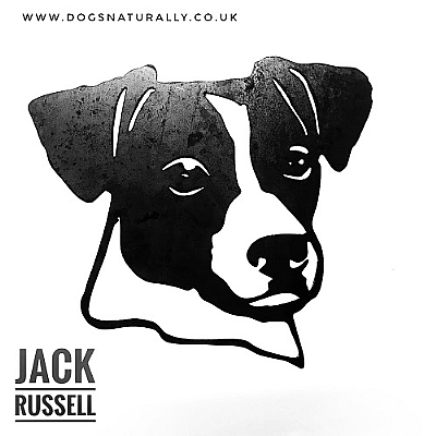 Jack Russell Wall Art